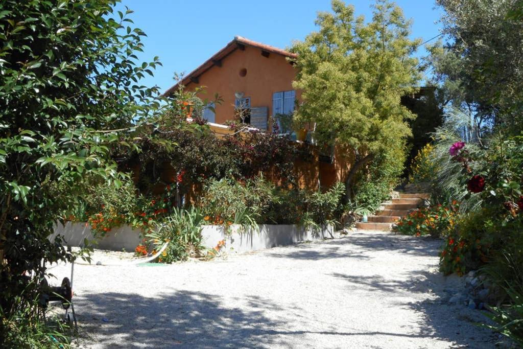La Jovine Sur Les Hauteurs De Cassis T2 Classe Kültér fotó